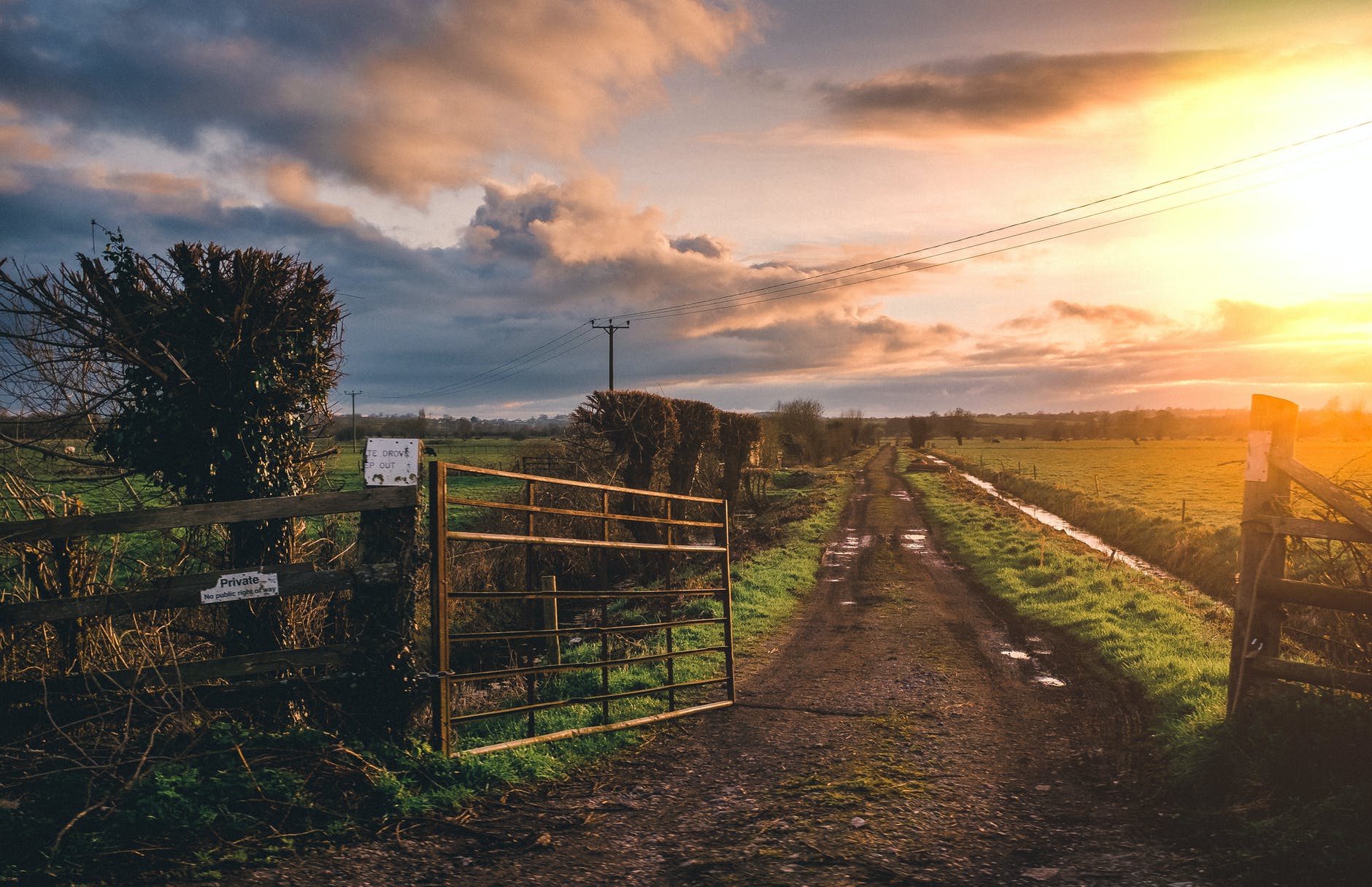 brown farm gate and green grass field